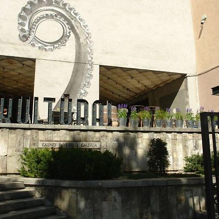 Kaunas Downtown Apartments Dış mekan fotoğraf