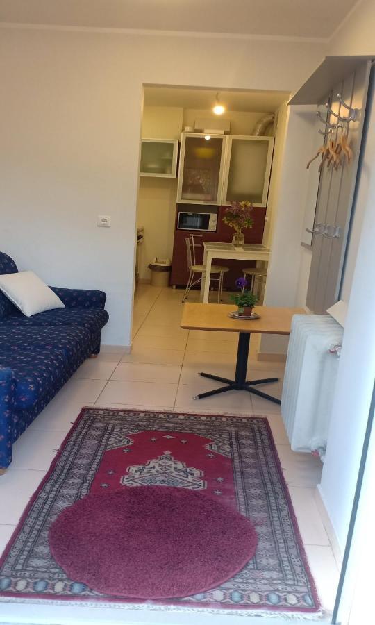 Kaunas Downtown Apartments Dış mekan fotoğraf
