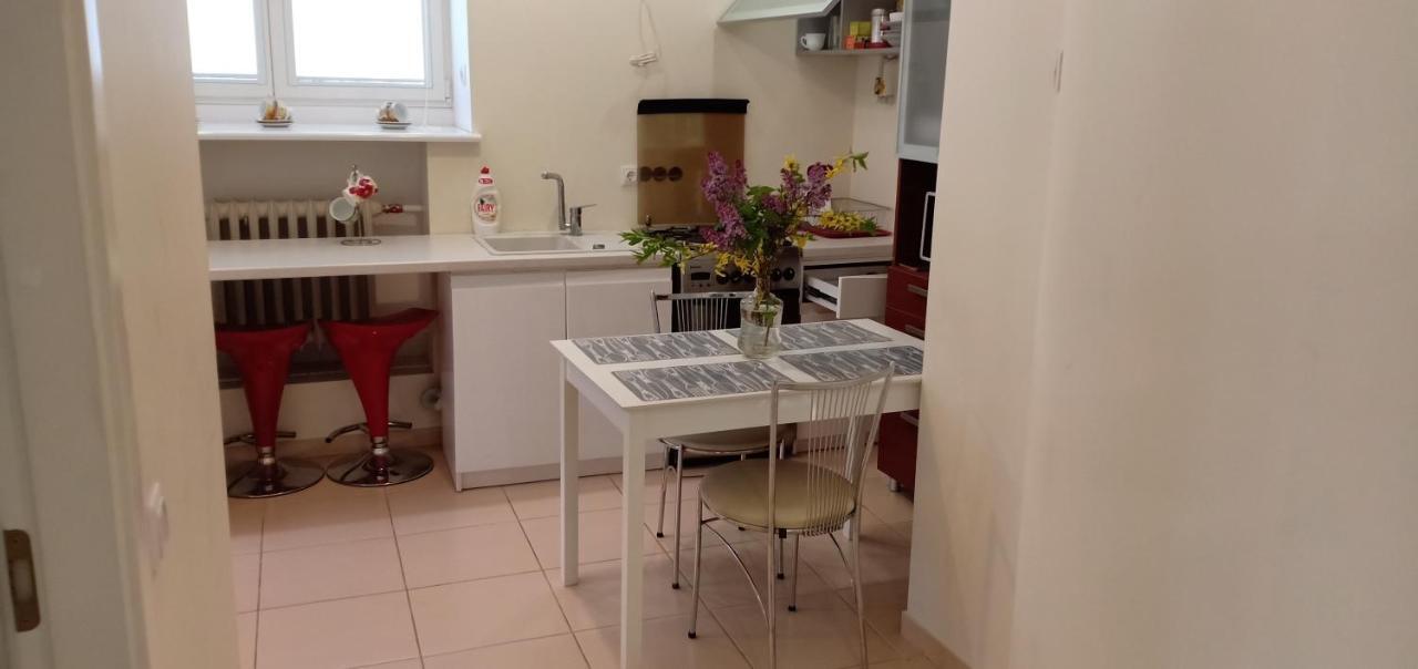 Kaunas Downtown Apartments Dış mekan fotoğraf